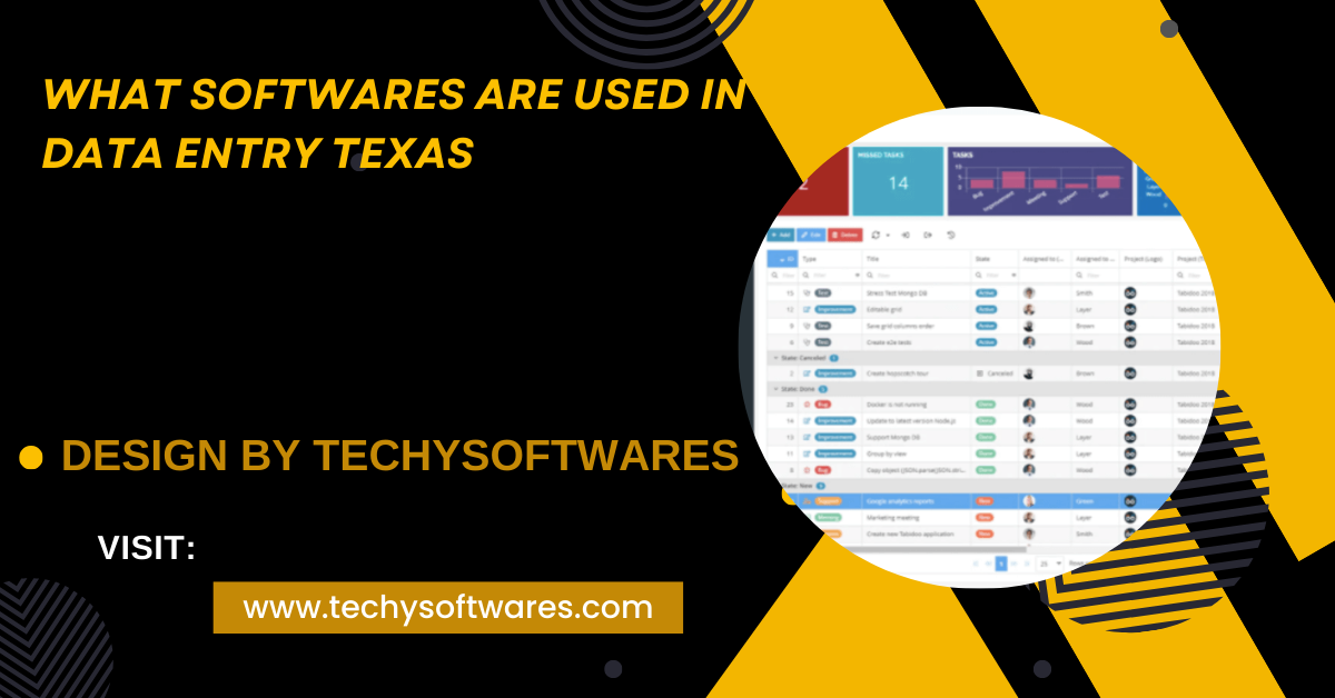 What Softwares Are Used In Data Entry Texas